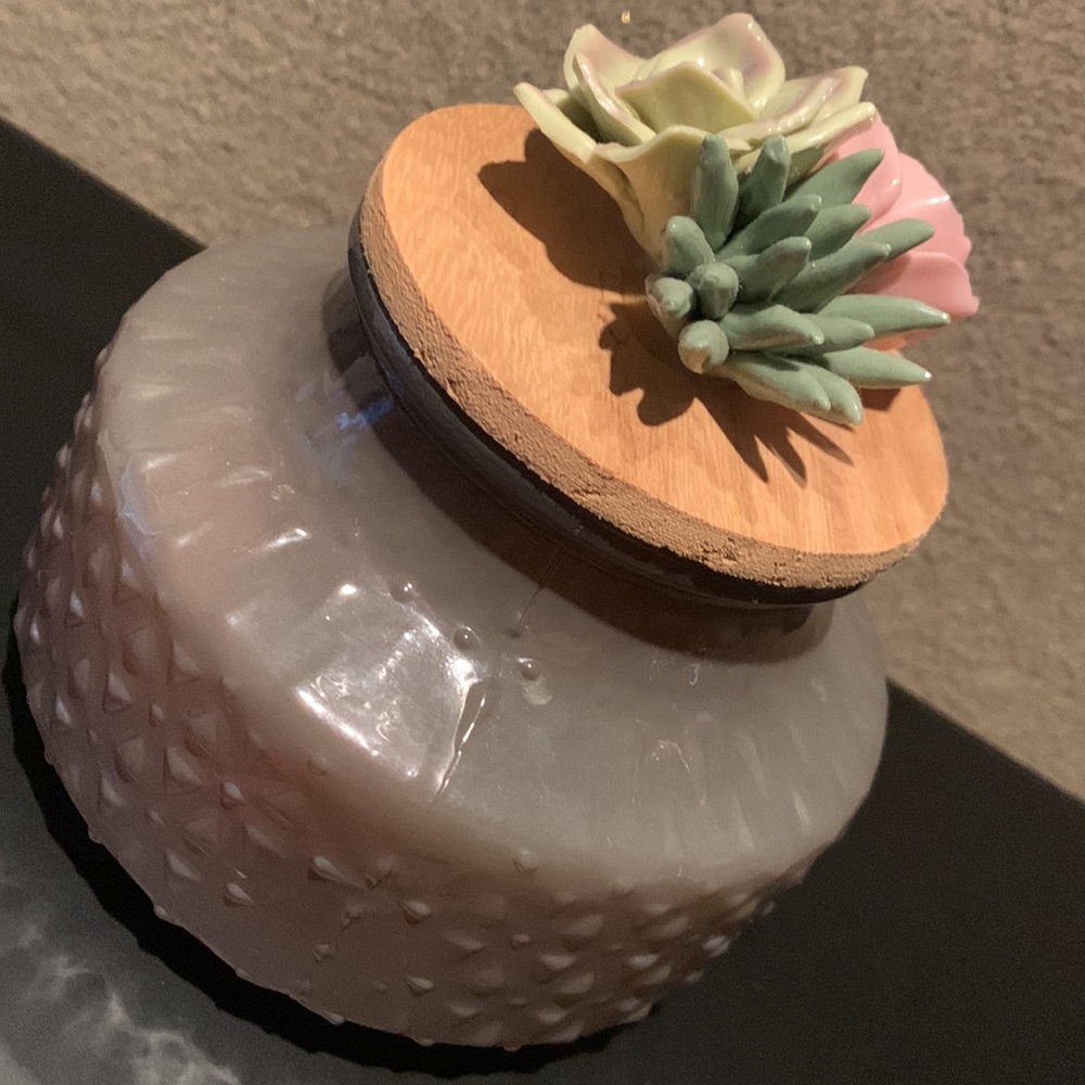 Gorgeous glass container with decorative glass succulent lid. The perfect gift.